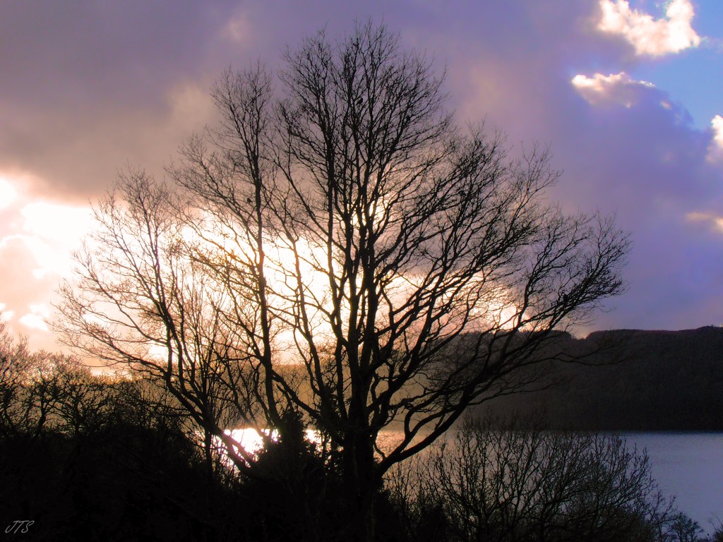 Wintersky