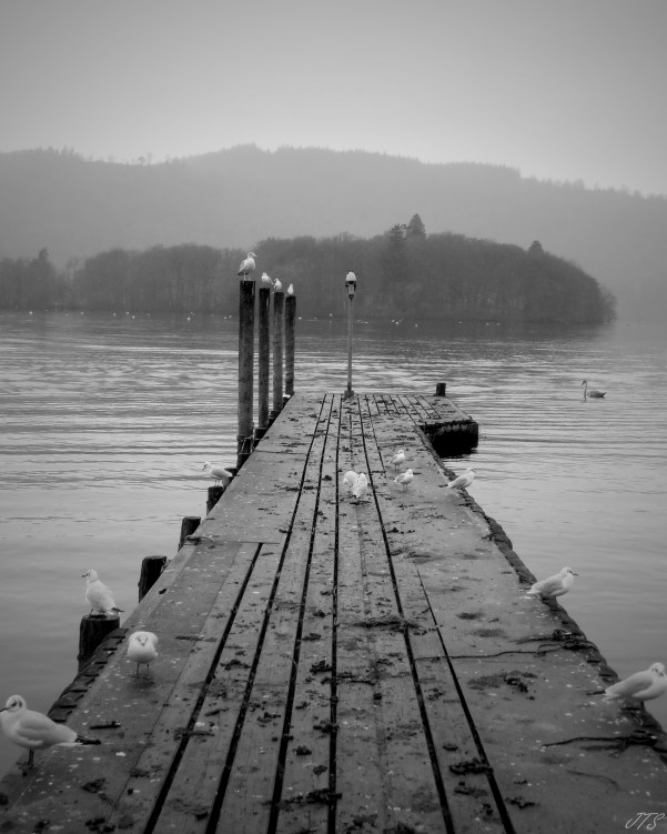 bowness1