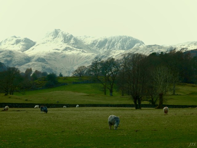 whatadifferenceadaymakes